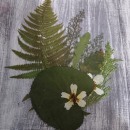 Mi Proyecto del curso: Técnicas básicas de prensado botánico. Arts, Crafts, and Fine Arts project by Aida Fernández Lago - 12.15.2020