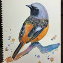 My project in Artistic Watercolor Techniques for Illustrating Birds course Ein Projekt aus dem Bereich Malerei mit Acr und l von Lisa Mabuchi - 20.12.2020