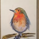Mi Proyecto del curso: Acuarela artística para ilustración de aves. Un proyecto de Bellas Artes de Marta Moreno - 28.12.2020