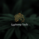 Gyphemp Tesai. Br, ing, Identit, and Logo Design project by Bryan Ricardo Cuasapaz - 12.15.2020
