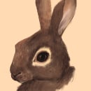 Conejo europeo común. Digital Illustration, and Naturalistic Illustration project by Veruska Maceiras - 01.03.2021