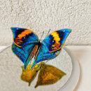 Double-sided 3D embroidery butterfly. 3D, and Embroider project by shan - 01.01.2020