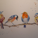 Mi Proyecto del curso: Acuarela artística para ilustración de aves. Un progetto di Disegno di Ana Laura Espinosa - 11.01.2021