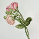 Lisianthus . Un progetto di Illustrazione botanica di Carolina De La Prida - 29.01.2021