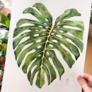 Mi Proyecto del curso: Acuarela botánica para estampados. Pintura em aquarela e Ilustração botânica projeto de María Fernández - 03.02.2021