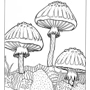 ilustracion botanica 2. Botanical Illustration & Ink Illustration project by Lucia Lara - 02.17.2021