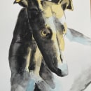 Greyhound. Watercolor Painting project by Nicole Pratt - 02.19.2021