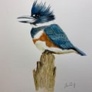 Naturalist Bird Illustration with Watercolors - class project. Un projet de Illustration naturaliste de Jan - 23.02.2021