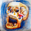 Cráneo en acuarela. Pintura em aquarela projeto de Alvaro Camino - 28.02.2021