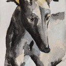 Greyhound. Watercolor Painting project by aleksandra_mz - 03.01.2021