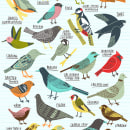 Birds of Portland. Projekt z dziedziny Trad, c i jna ilustracja użytkownika Kate Sutton - 05.09.2020