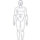 Mi Proyecto del curso: Dibujo anatómico para principiantes. Un projet de Beaux Arts de Leonardo Rodríguez Brito - 05.03.2021