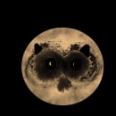 Raccoon in moon.... Graphic Design project by Maria Michailidou - 03.06.2021