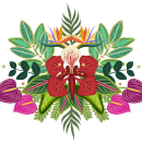 Flor de Flamboyán - Ilustración para patrones . Digital Illustration project by Shantall Alam - 11.07.2020