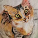 "EYE CAT". Drawing project by Paulina Zamora - 03.08.2021