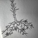 FLOWERS AND THORNS. Un proyecto de Bocetado, Dibujo a lápiz, Dibujo y Sketchbook de Lav Trif - 08.03.2021