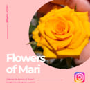 Photography: Flowers of Mari Ein Projekt aus dem Bereich Fotografie von Mari Giampietri - 09.03.2021