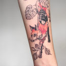 Zorro entre monstreras. Un proyecto de Ilustración tradicional, Diseño de tatuajes e Ilustración botánica de Icarus - 08.03.2021