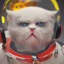 In space no one can hear you purr. 3D, and 3D Character Design project by Oscar Retortillo Garrido - 03.15.2021