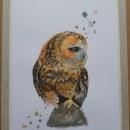 Mi Proyecto del curso: Acuarela artística para ilustración de aves. Artistic Drawing, and Naturalistic Illustration project by Paola castillo - 03.15.2021
