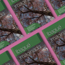 Ibagué imaginada. Editorial Design project by Angelo Reyne Hernández Valencia - 04.10.2019