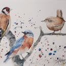 Mi Proyecto del curso: Acuarela artística para ilustración de aves. Un proyecto de Ilustración naturalista				 de Juan Toledo Toledo - 10.04.2021