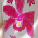Bordado e ilustración de una orquídea la flor de mi país Colombia.. Un proyecto de Bordado e Ilustración naturalista				 de Lina María Mora Brun - 10.04.2021