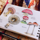 Mi Proyecto del curso: Cuaderno botánico en acuarela ASI VA MI CUADERNO BOTANICO :). Un progetto di Illustrazione botanica di Natalia Molina Rico - 11.04.2021