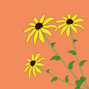 Black-eyed susan. 2D Animation project by Anthony - 04.11.2021