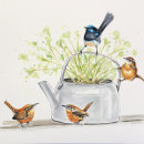 Mi Proyecto del curso: Acuarela artística para ilustración de aves. Pintura em aquarela projeto de Gabriela Izurieta Rivero - 13.04.2021