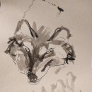 animals & plants. Un proyecto de Dibujo, Pintura a la acuarela, Ilustración con tinta y Pintura gouache de Gelsomina Eckberg - 15.04.2021