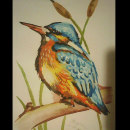 Kingfisher - watercolor pictures. Un proyecto de Creatividad, Pintura a la acuarela, Ilustración infantil y Brush Painting de Maja P - 16.04.2021