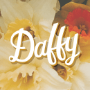 Daffy. Un proyecto de Diseño, Serigrafía, Tipografía, Lettering, Pattern Design, Ilustración vectorial, Diseño de logotipos, Lettering digital, Diseño tipográfico, H y lettering de Minz - 22.04.2021