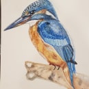 Mi Proyecto del curso: Ilustración naturalista de aves con acuarela. Fine Arts project by Itma Selene Torres - 04.23.2021