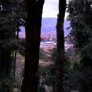 Parque Lindaraja - Bogota D.C. - Reportaje con el verde!. Photograph, Creativit, and Communication project by Jimena Cardenas - 04.25.2021