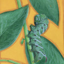 "Hornworm". Gouache Painting project by Nathalie Flores - 07.12.2020