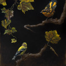 Goldfinch, Robin and Autumn Leaves. Un projet de Beaux Arts, Peinture, Peinture à l'huile et Illustration naturaliste de Sarah Margaret Gibson - 04.05.2021