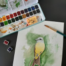 Pássaro 1. Un proyecto de Ilustración tradicional y Pintura a la acuarela de Ioná Vasconcelos Amaral Santos - 04.05.2021