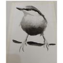 My project in Artistic Watercolour Techniques for illustrating birds. Un proyecto de Pintura a la acuarela de Hannah Sellars - 07.05.2021
