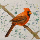 My project in Artistic Watercolor Techniques for Illustrating Birds course. Ilustração tradicional, Pintura em aquarela, Desenho realista e Ilustração naturalista projeto de Jenni Athawes - 14.05.2021