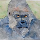 Gros gorille vieillissant du Congo - VENDU (SOLD). Un proyecto de Pintura a la acuarela de Dominique Martel - 27.05.2021