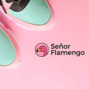 Señor Flamengo. Design, Br, ing & Identit project by doubla a - 03.01.2020