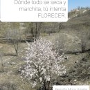 FLORECE!. Design, Writing, Cop, writing, and Social Media Design project by Begoña Mora Ugarte - 06.07.2021