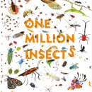 One Million Insects. Writing project by Isabel Thomas - 06.08.2021