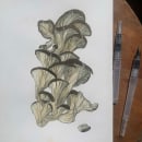 My project in Botanical Sketchbooking: A Meditative Approach course. Un proyecto de Ilustración tradicional, Bocetado, Dibujo, Pintura a la acuarela, Ilustración botánica y Sketchbook de Sab Kay - 10.06.2021