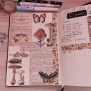 Mi Proyecto del curso:  Bullet journal creativo: planificación y creatividad . Ilustração tradicional, Lettering, Desenho, H, e Lettering projeto de Daniela Vazquez - 24.06.2021