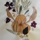 Mi Proyecto del curso: Técnicas básicas de prensado botánico. Arts, Crafts, Fine Arts, Collage, and DIY project by M.Lucrecia Baldassarre - 06.22.2020