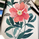 "Pink and green flower". Traditional illustration project by Malin Gyllensvaan - 07.09.2021