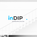 inDIP www.indip.org. Un projet de Conseil créatif de Pablo Lascurain - 17.02.2021