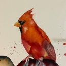 My project in Artistic Watercolor Techniques for Illustrating Birds course. Ilustração tradicional, Pintura em aquarela, Desenho realista e Ilustração naturalista projeto de deonlewisart - 27.07.2021